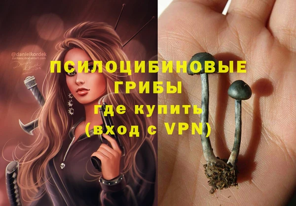 твердый Аркадак