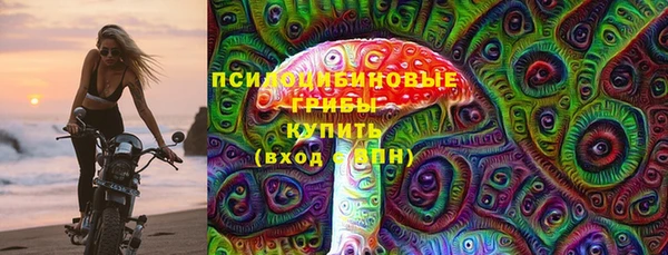 тгк Арсеньев