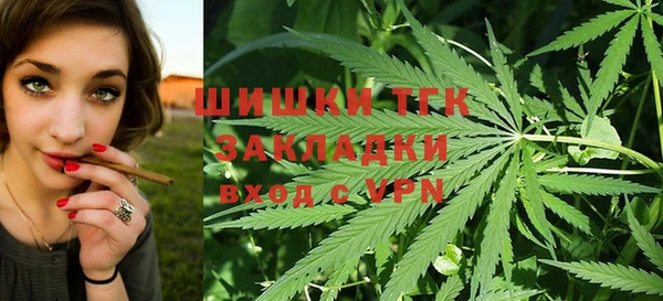 твердый Аркадак