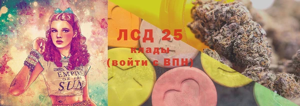 твердый Аркадак