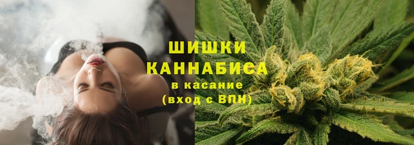твердый Аркадак