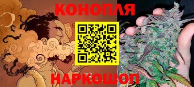 тгк Кузнецк