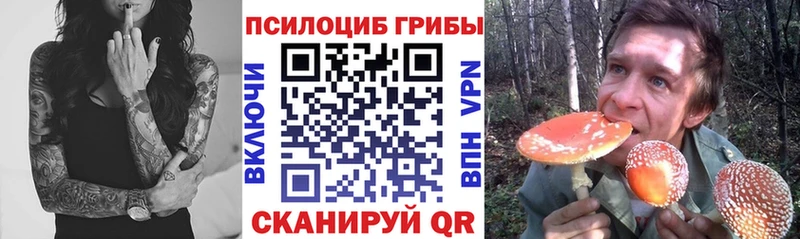 цены   mega рабочий сайт  дарк нет какой сайт  Глазов  Псилоцибиновые грибы MAGIC MUSHROOMS 