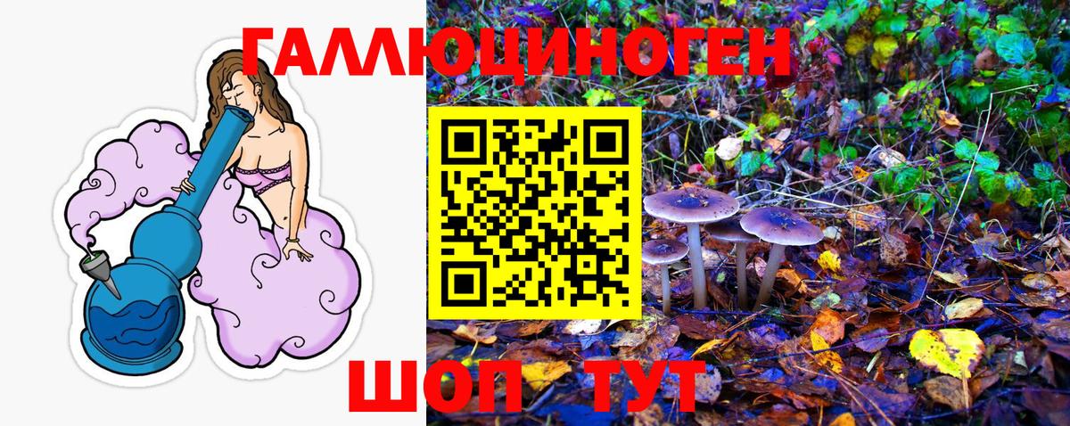 Глазов  Галлюциногенные грибы Psilocybine cubensis  Вход с VPN 